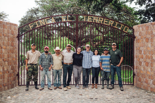 Honduras - Finca Terrerito Natural