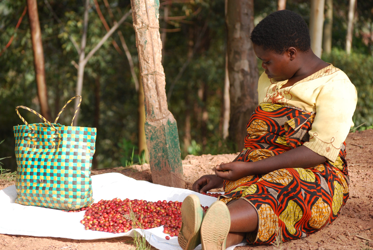 Rwanda - Kinini Village Washed Bourbon
