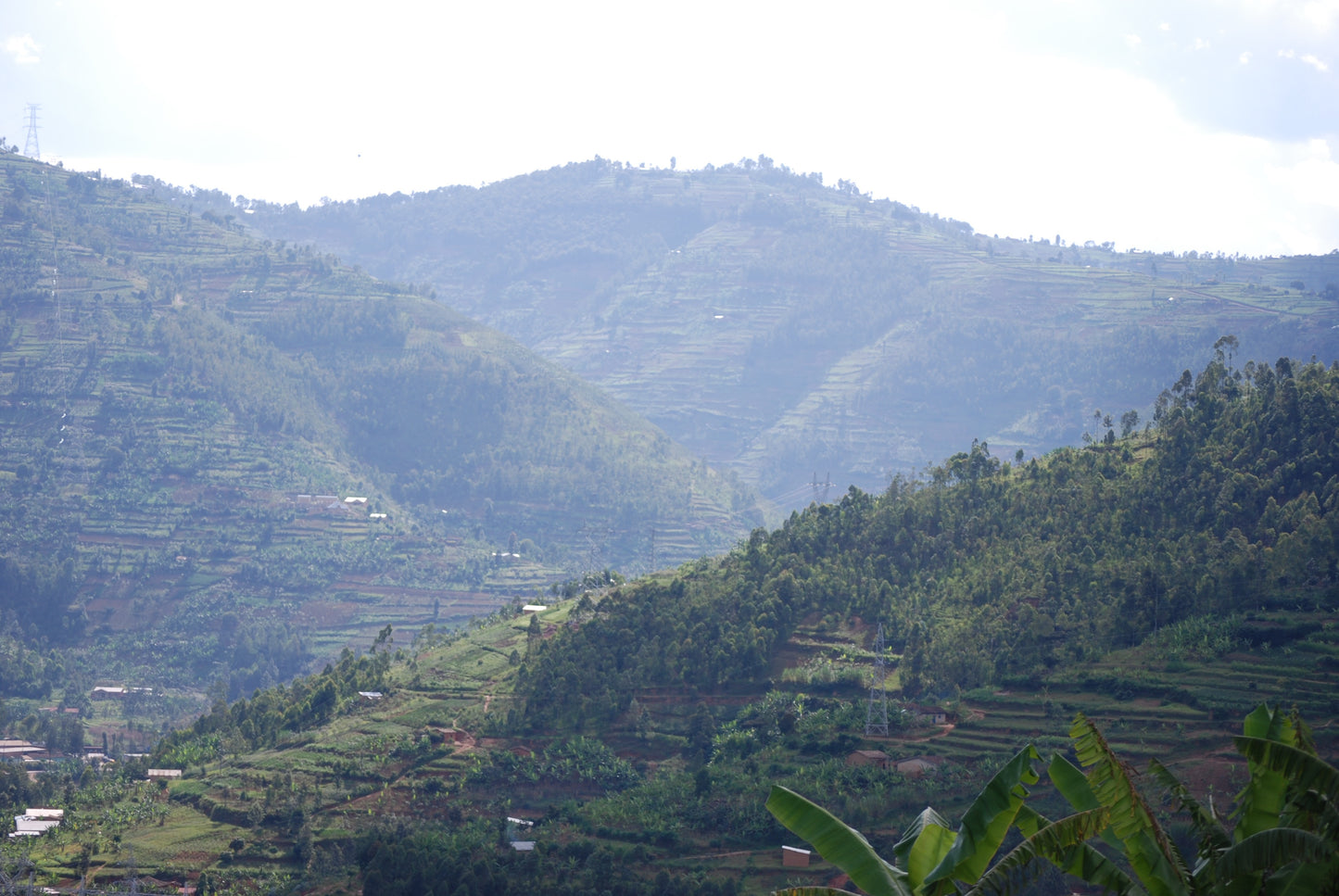 Rwanda - Kinini Village Washed Bourbon