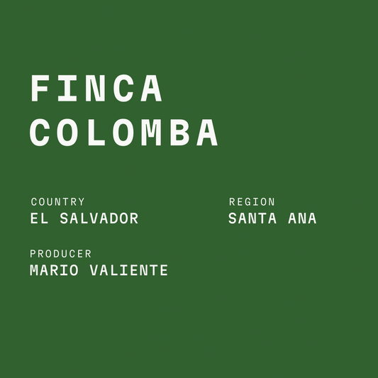 El Salvador - Finca Colomba Semi-Washed Bourbon