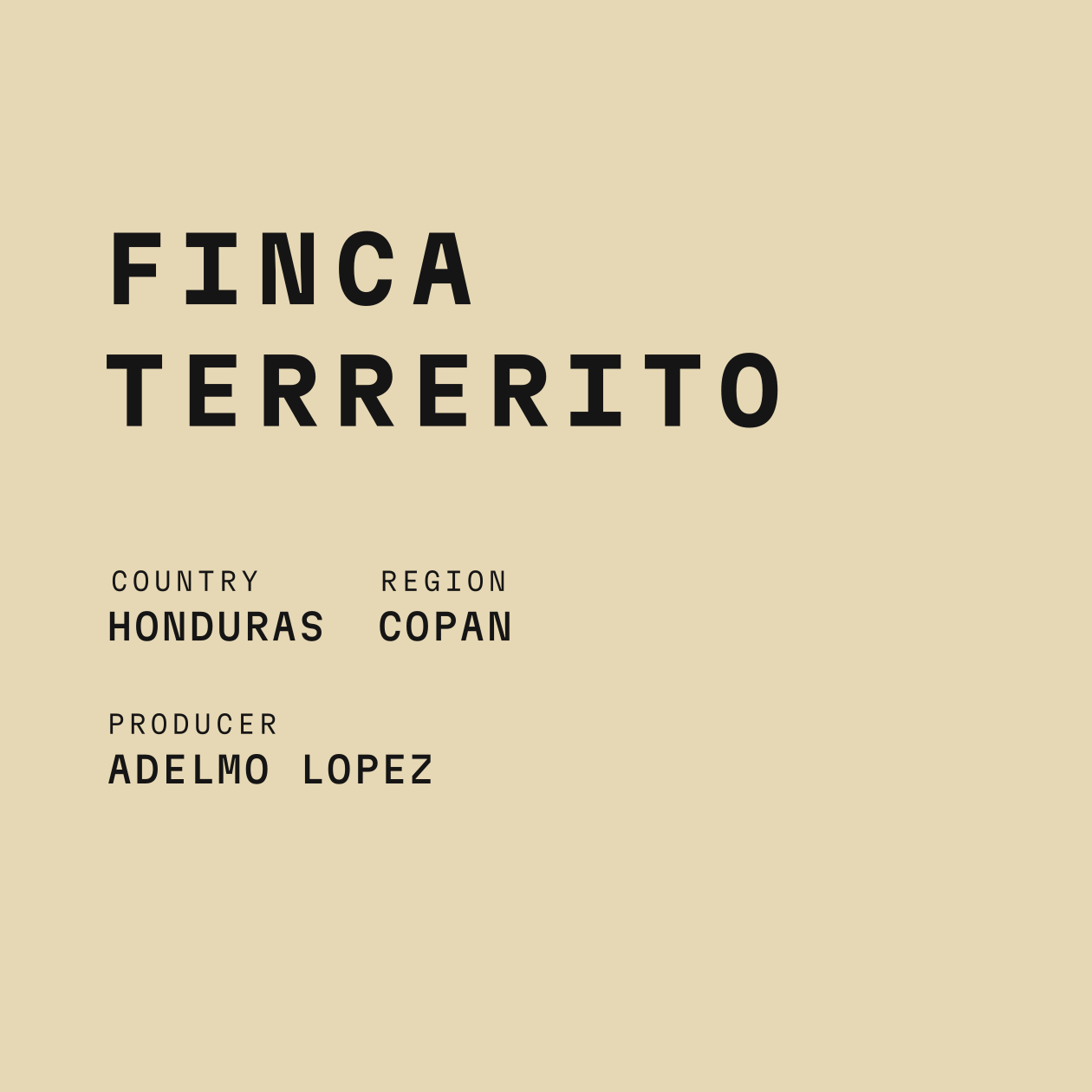 Honduras - Finca Terrerito