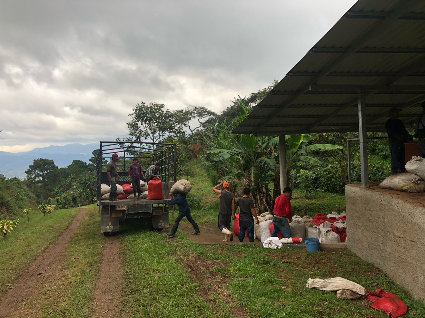 Honduras - Finca La Unica Washed Lempira