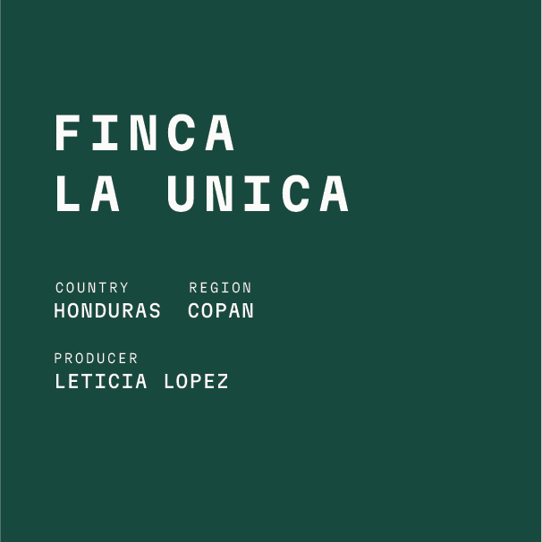 Honduras - Finca La Unica Washed Lempira