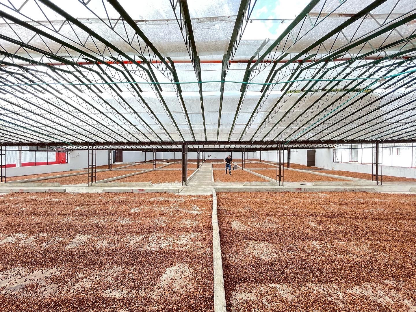 Colombia - Sebastian Ramirez Washed Pink Bourbon [2026 - Archived]