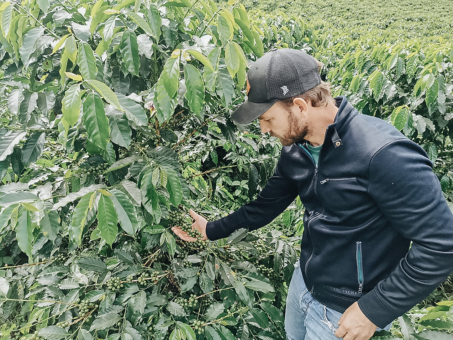 Colombia - Sebastian Ramirez Washed Pink Bourbon [2026 - Archived]