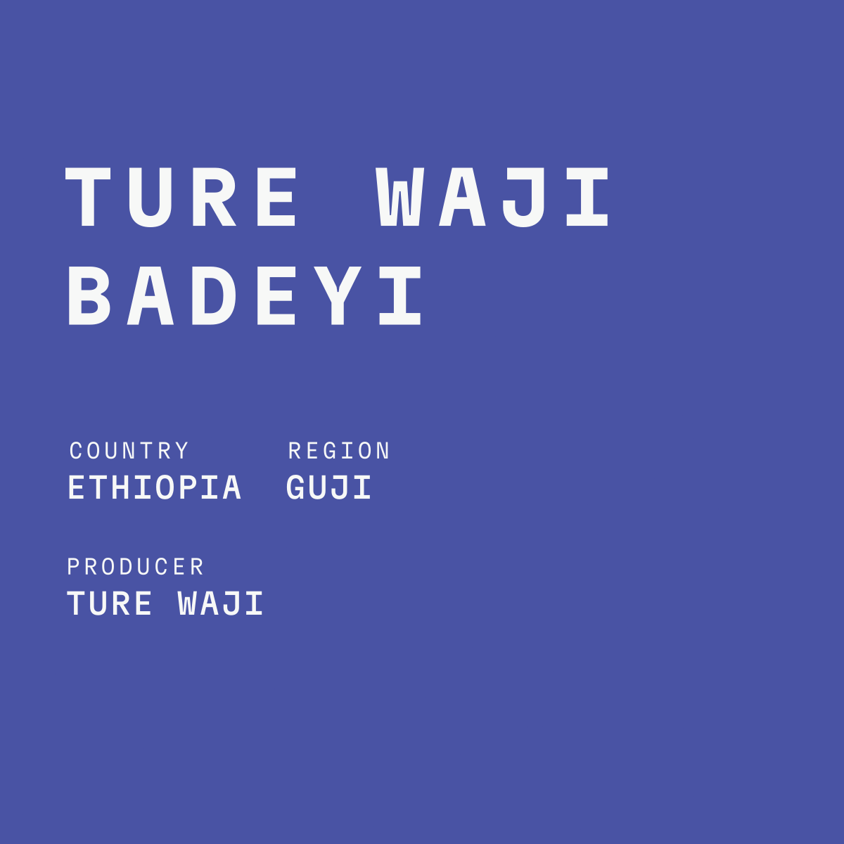 Ethiopia - Ture Waji Badeyi Natural