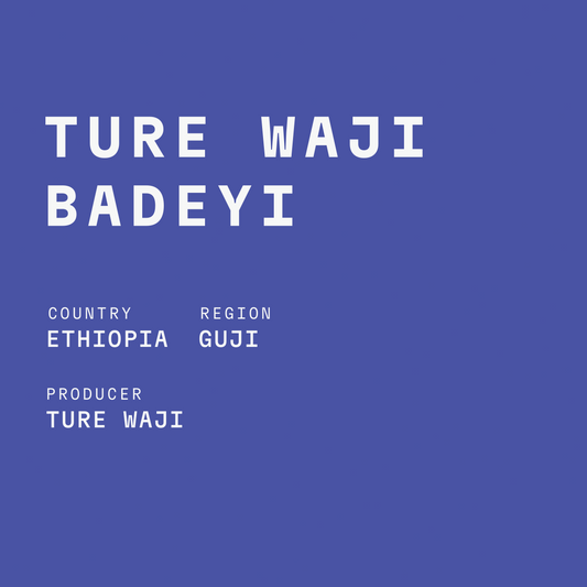 Ethiopia - Ture Waji Badeyi Natural