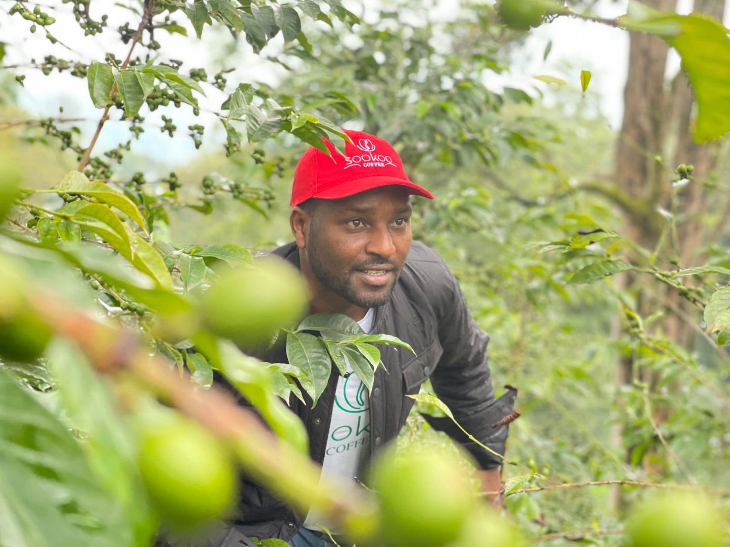 Ethiopia - Ture Waji Badeyi Natural