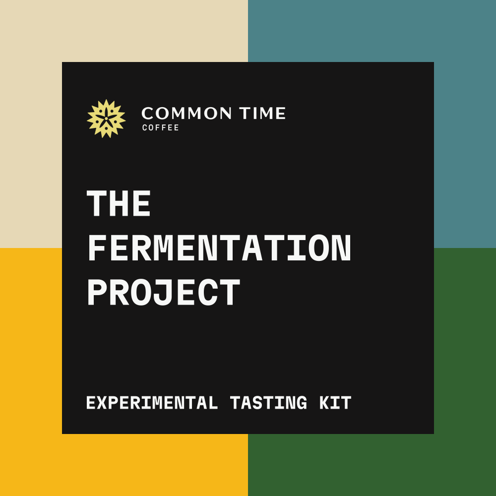 The Fermentation Project Tasting Set