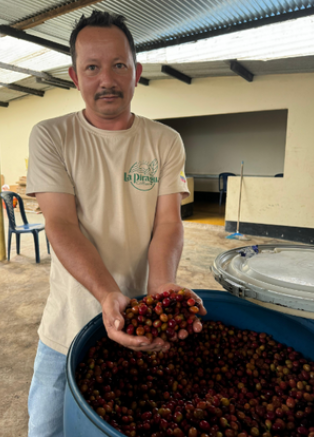 Colombia - La Piragua Anaerobic Natural Caturra